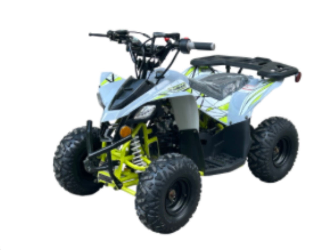 Kids Electric ATVS 1000W  ATV 36V