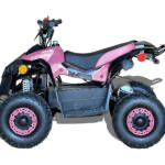 Kids Electric ATVS 1000W  ATV 36V