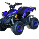 Kids Electric ATVS 1000W  ATV 36V