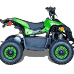 Kids Electric ATVS 1000W  ATV 36V